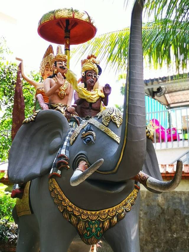 兴隆热带雨林观赏区