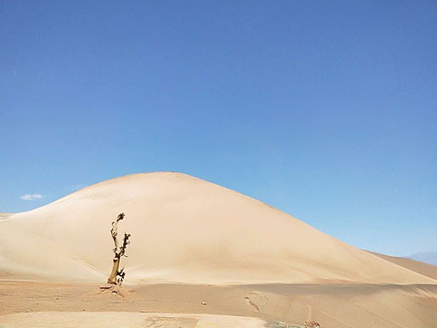 库木塔格沙漠旅游景点攻略图