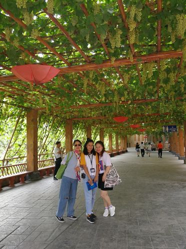 吐鲁番坎儿井博物馆