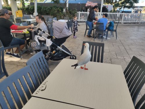 华纳兄弟电影世界