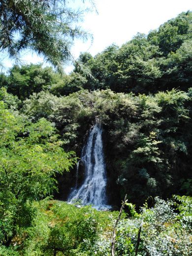 红河谷森林公园