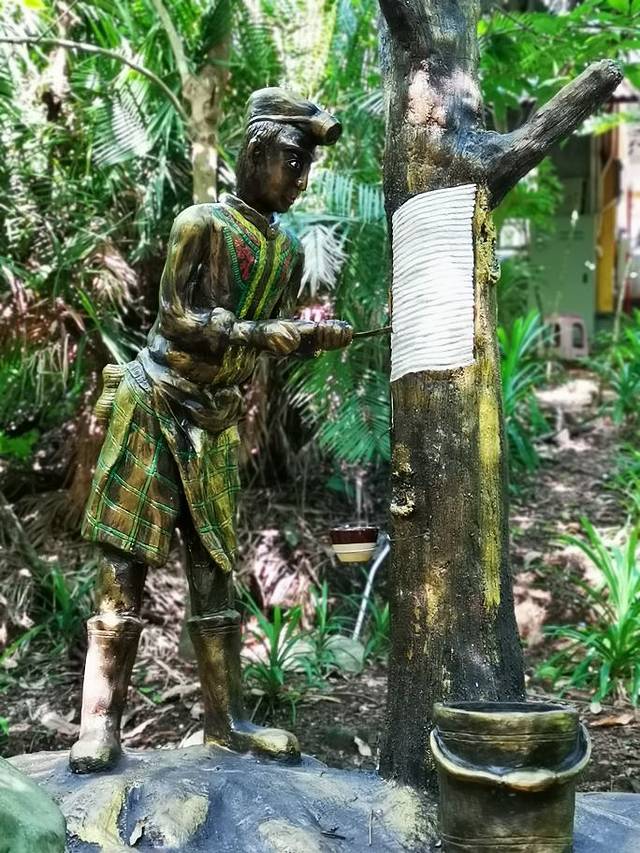 兴隆热带雨林观赏区