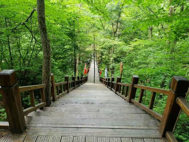 太平沟原始森林旅游区