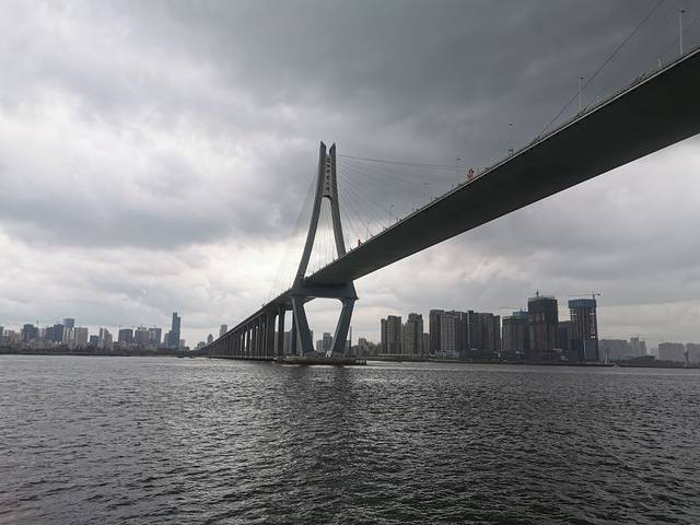 湛江红嘴鸥游船