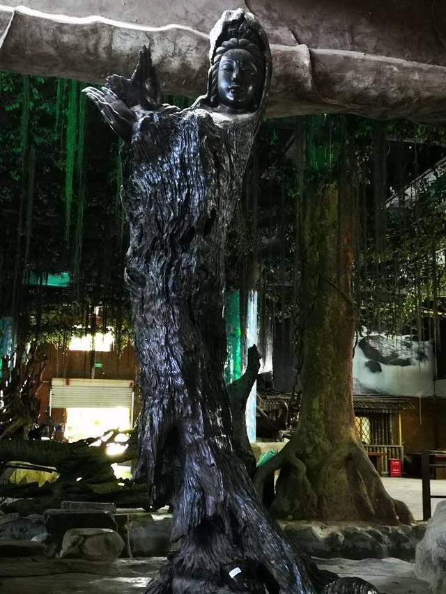 兴隆热带雨林观赏区