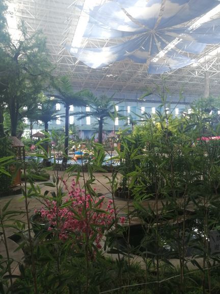 哈素海天鹅堡温泉