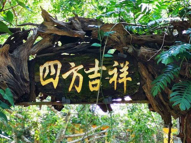 兴隆热带雨林观赏区