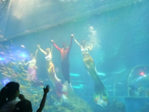 东京极地海洋馆