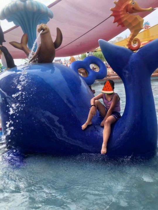 天津玛雅海滩水公园