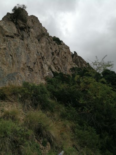 坡陇原始森林风景区