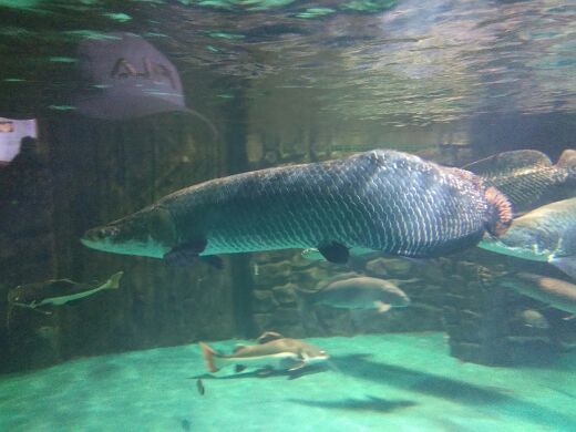 威海神游海洋世界