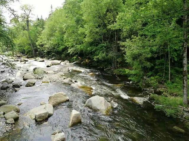 太平沟原始森林旅游区
