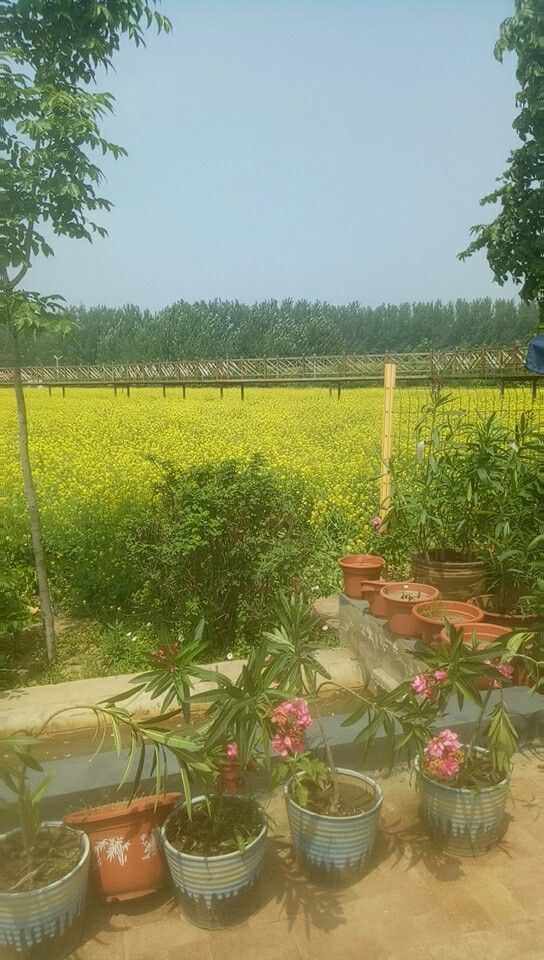 花溪地温泉生态乐园