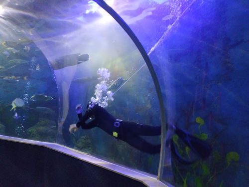 富国岛珍珠游乐园