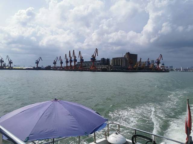 湛江红嘴鸥游船