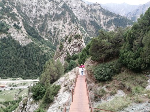 坡陇原始森林风景区