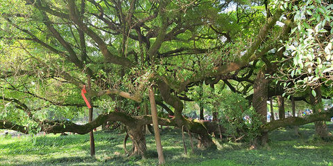 遇龙河景区旅游景点攻略图