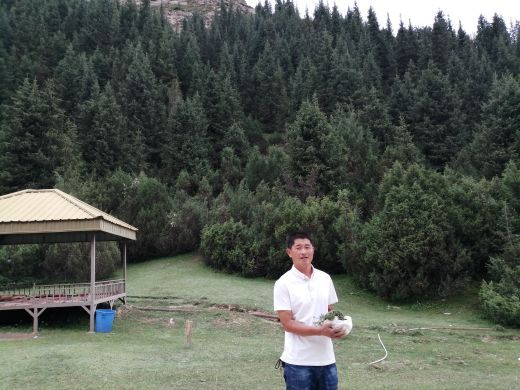 坡陇原始森林风景区