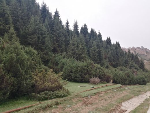 坡陇原始森林风景区