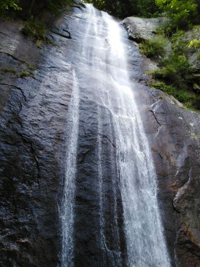 红河谷森林公园