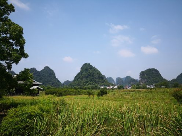 "_遇龙河景区"的评论图片