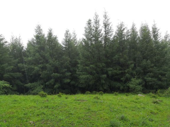 圣水梁九龙湾景区