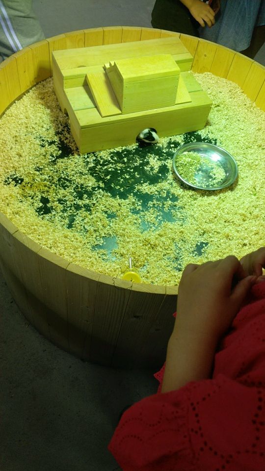 清河源综合旅游度假区