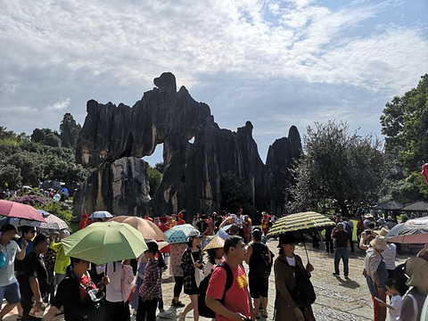 斗南花市旅游景点攻略图