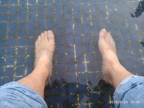 龙寿洋万亩田野公园