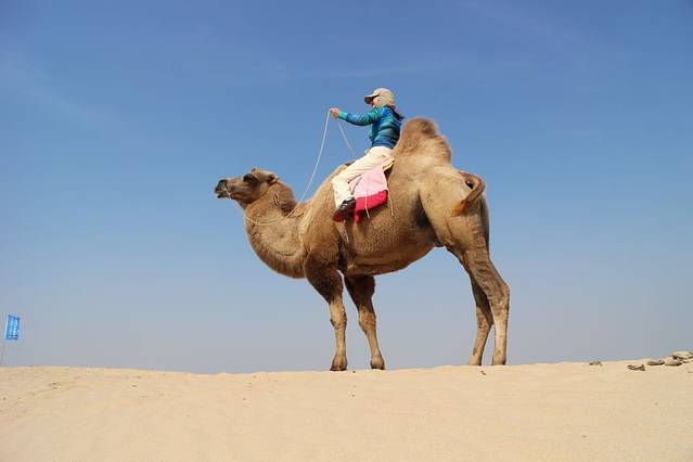 宝古图沙漠旅游区