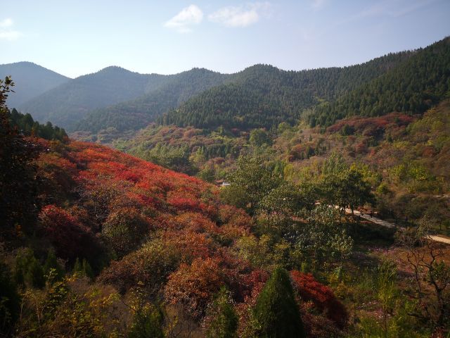 官护山景区