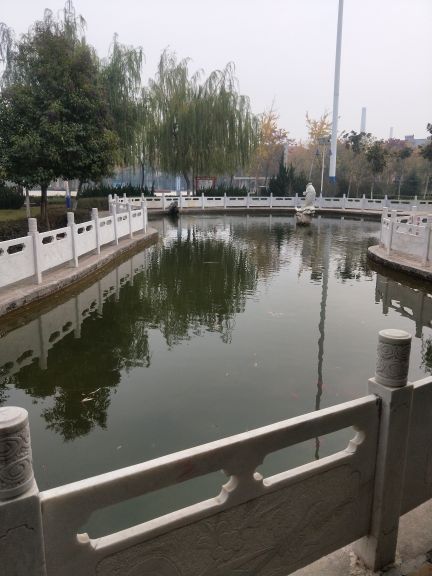 七里营镇龙泉村