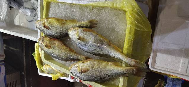 楼上楼田园综合体