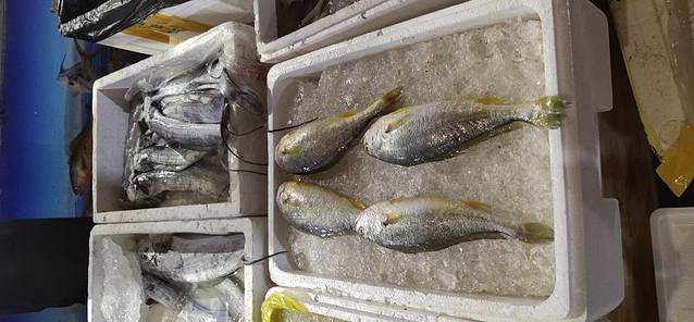 楼上楼田园综合体