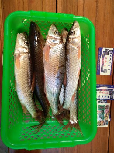 蓝山源岭南东方温泉