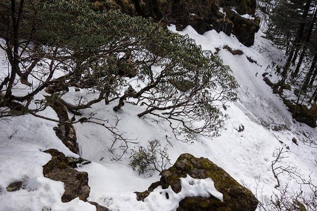 轿子雪山国际滑雪场