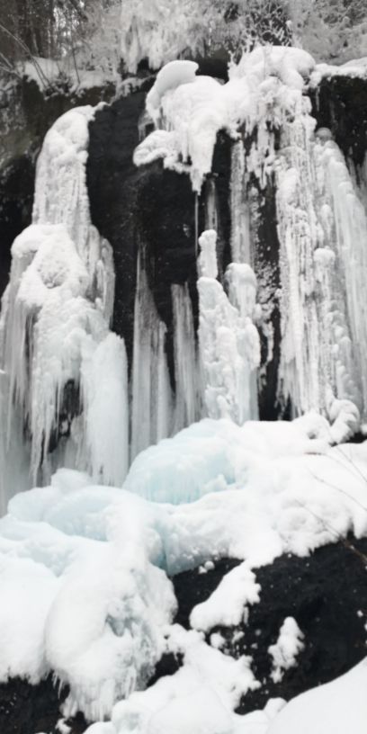 望天鹅旅游风景区