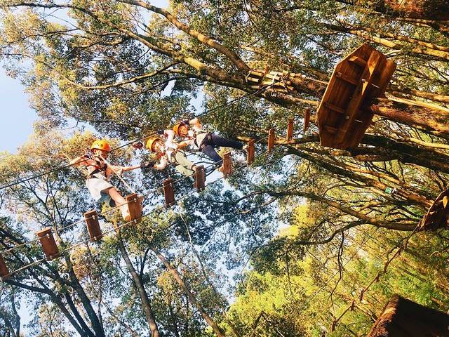 沃普·紫金山探险营地