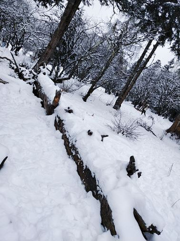 "很不错的美景，值得推荐，石导人漂亮也很热..._毕棚沟滑雪场"的评论图片