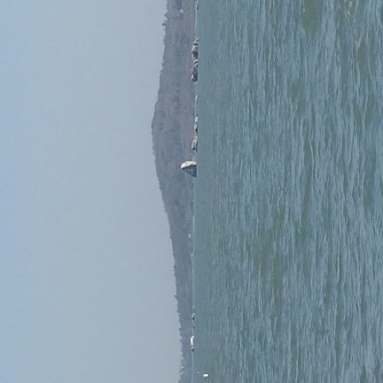 环岛路海通联帆船航海