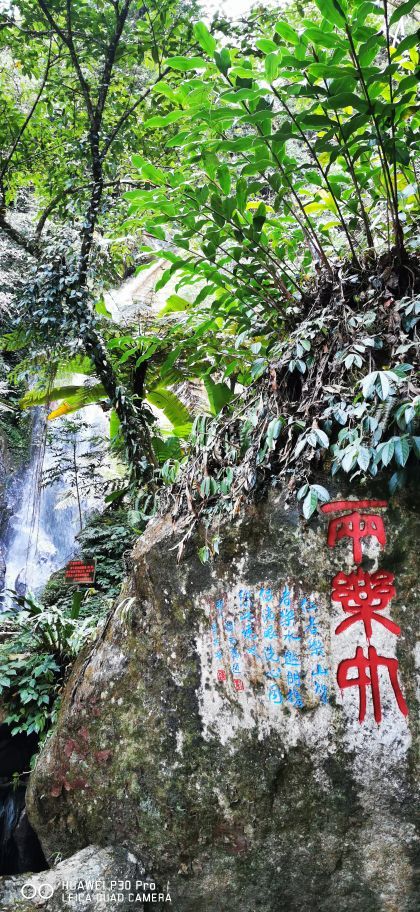 梅州爱丽丝庄园樱花谷