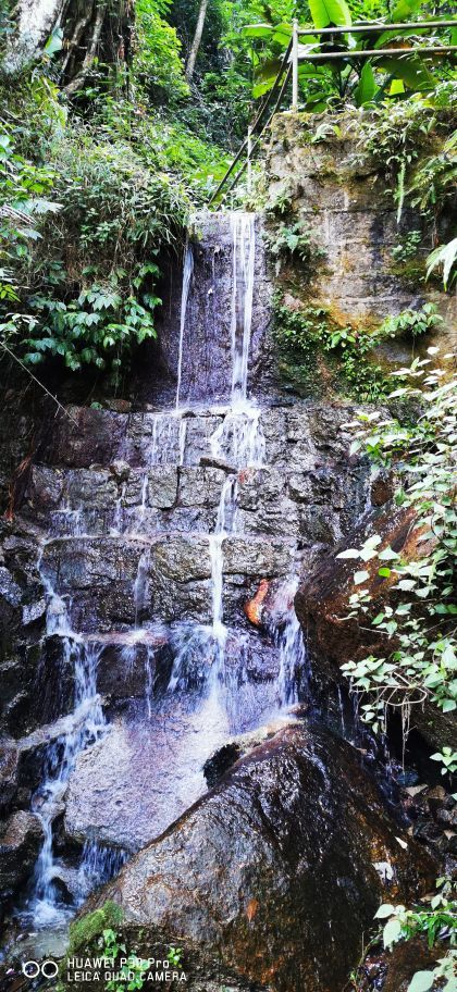 梅州爱丽丝庄园樱花谷