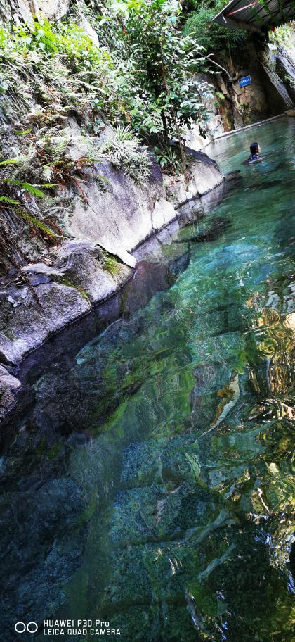 梅州爱丽丝庄园樱花谷