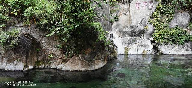 梅州爱丽丝庄园樱花谷