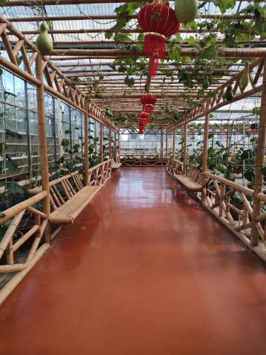 广垦(茂名)国家热带农业公园