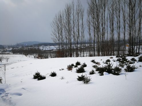 亚布力国家森林公园