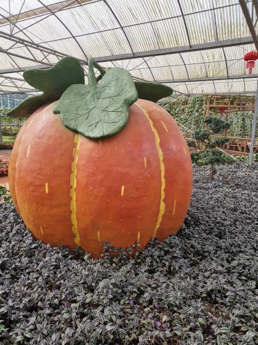 广垦(茂名)国家热带农业公园