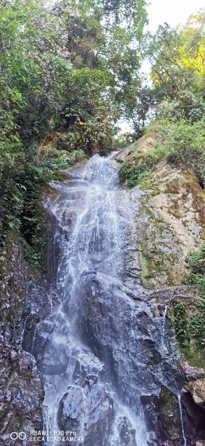 梅州爱丽丝庄园樱花谷