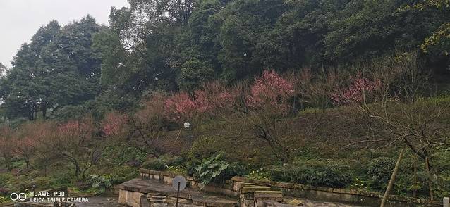 重庆抗战遗址博物馆