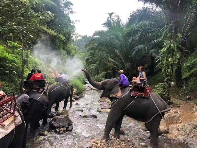 Road Runner Buggy and ATV Adventure Phuket